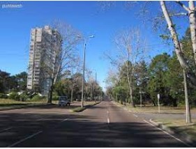 Entienda por qué vivir en el Barrio Roosevelt en Punta del Este es tan atractivo.